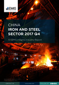 China Iron and Steel Sector Report 2017 4th Quarter - Page 1