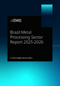 Brazil Metal Processing Sector Report 2025-2026 - Page 1