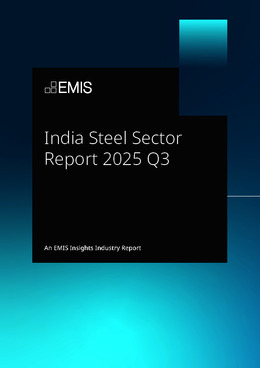 India Steel Sector Report 2025 Q3 - Page 1