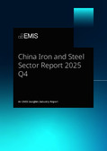 China Iron and Steel Sector Report 2025 Q4 - Page 1